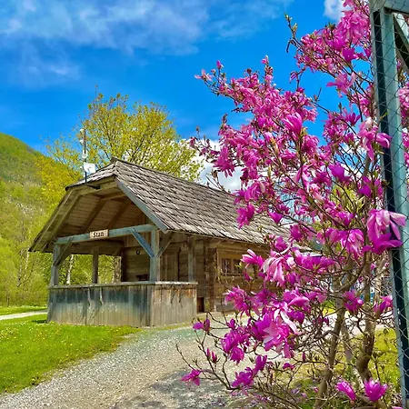 Stan Camp Danica Casa vacanze Bohinj