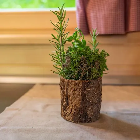 Danica Stan Prázdninový dům Bohinj