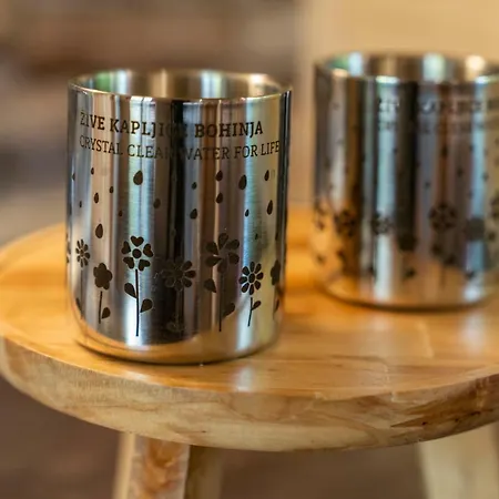 Danica Stan Prázdninový dům *