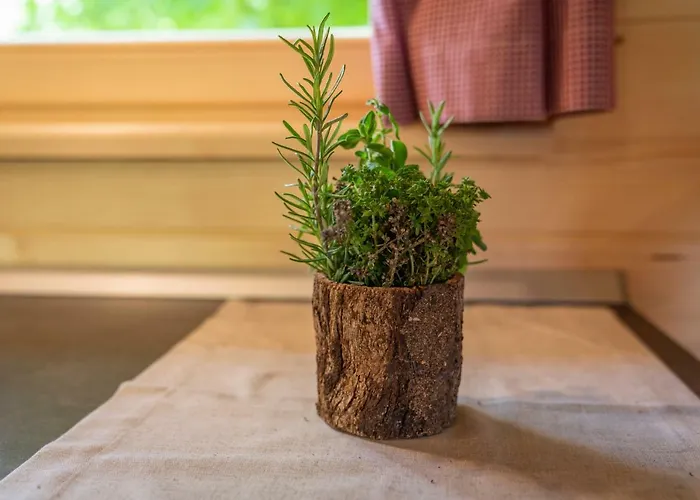 Danica Stan Vakantiehuis Bohinj