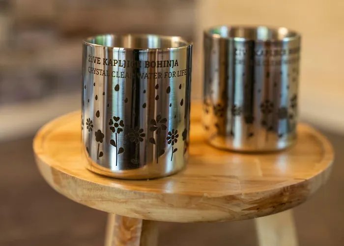 Danica Stan Prázdninový dům *